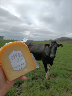 Afbeelding Melkveebedrijf Vandenbooren