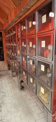 Afbeelding Aardappelen Marum