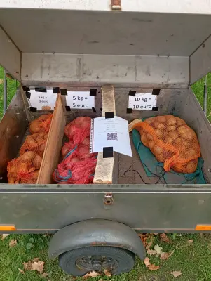 Afbeelding Aardappelkar Siebe Bruil