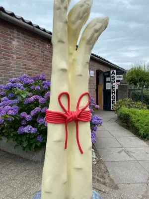 Afbeelding Aspergeboerderij Schalk