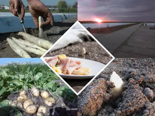 Afbeelding Aspergehof Noordam