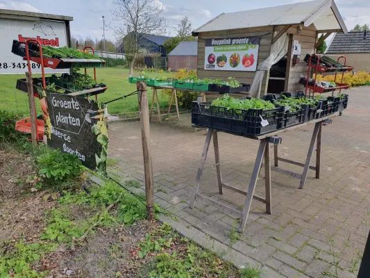 Afbeelding Beugelink groente