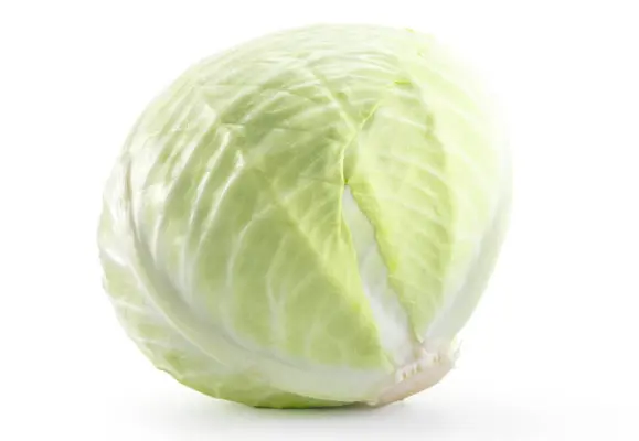 Productfoto Witte kool