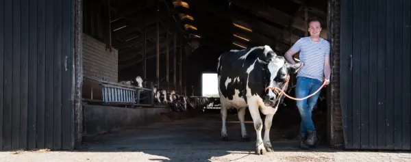 Afbeelding Bij Boer Gijs