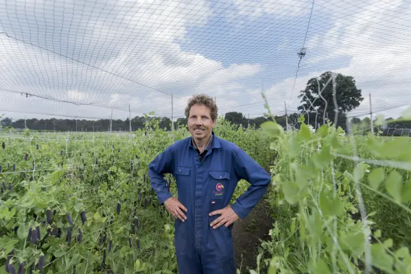 Afbeelding Bijzonder Brabants
