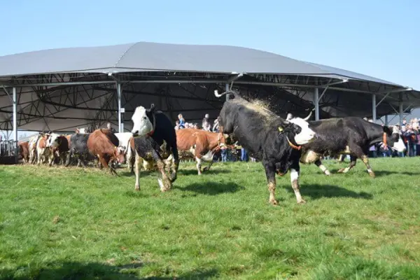 Afbeelding Bio-boerderij Landleven