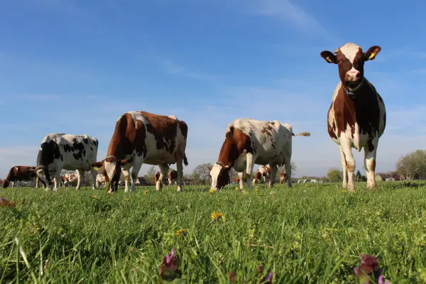 Afbeelding Biologische Melktap Oene