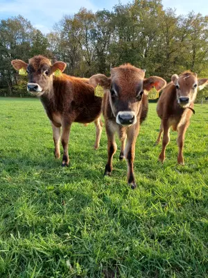 Afbeelding Biologische boerderijwinkel "Hart voor aarde"
