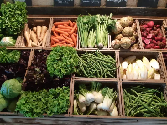 Afbeelding Biologische Tuinderij de Elzenkamp