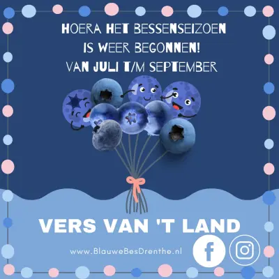 Afbeelding Blauwe Bes Drenthe