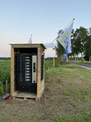 Afbeelding Blauwe Bessenpluktuin Elim