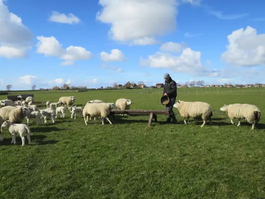 Afbeelding Boer Jens