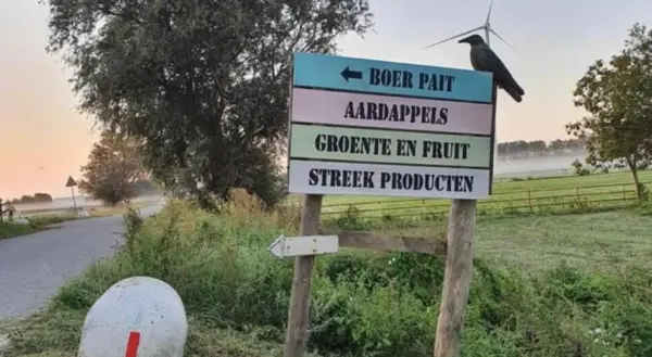 Afbeelding Boer Pait