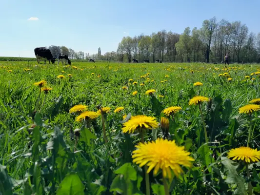 Afbeelding Boerderie de Leefhebberie