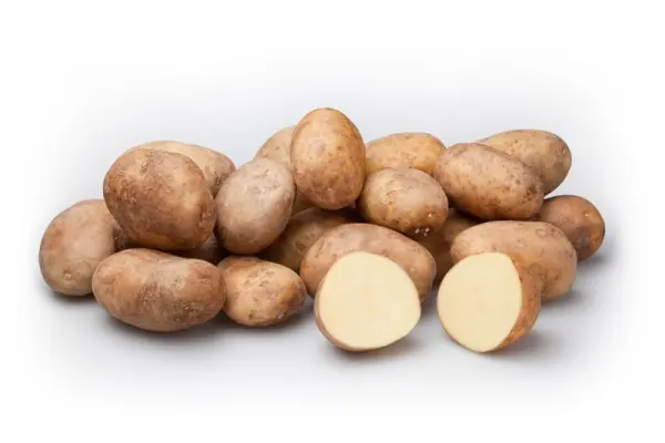 Productfoto Frieslander