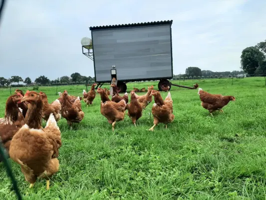 Afbeelding Boerderij De Kasteelhoeve