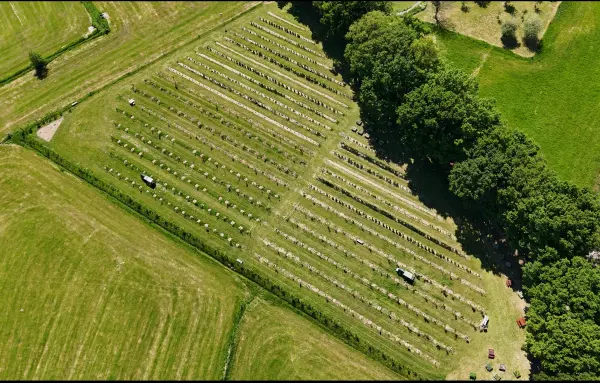Afbeelding Boerderij de Oude Ruif