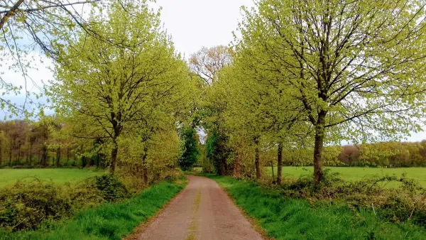 Afbeelding Boerderij Den Hof