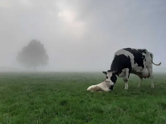 Afbeelding Boerderij Grutje