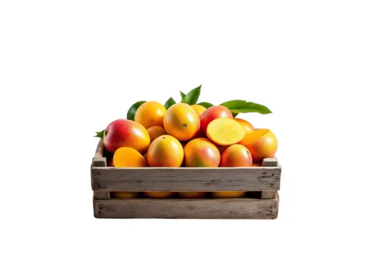Productfoto Mango