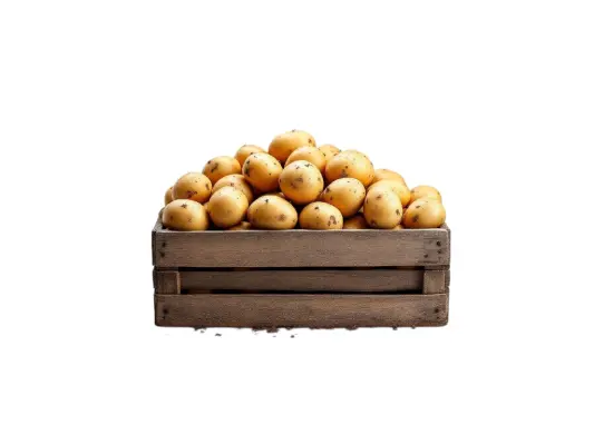 Productfoto Frieslander aardappelen