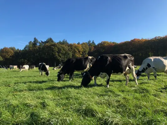 Afbeelding Boerderijwinkel De Grote Koekoek