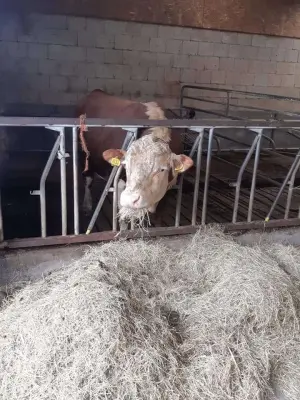 Afbeelding Zorgboerderij het Hof