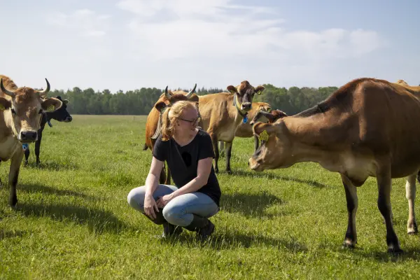 Afbeelding Boerderijwinkel Den Doorn