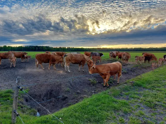 Afbeelding Boerderijwinkel Fluitenberg