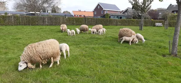Afbeelding Boerderijwinkel Fromberg