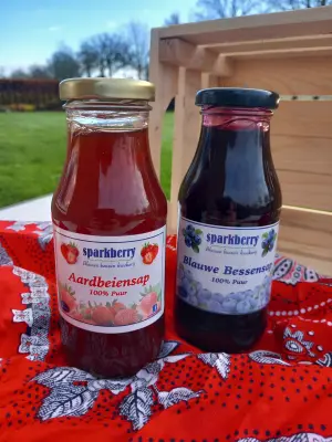 Productfoto Pure fruitsappen klein