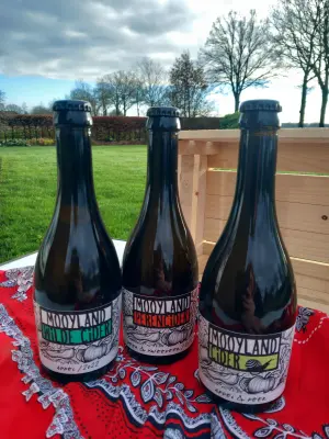 Productfoto Cider
