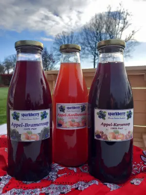 Productfoto Fruitsappen groot gemengd