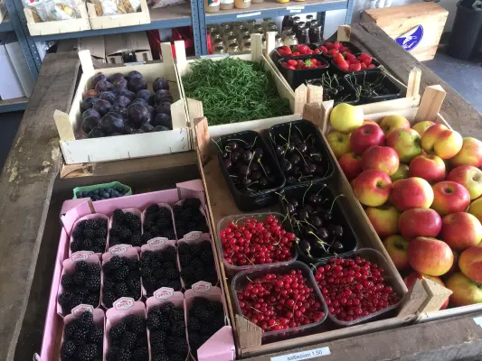 Afbeelding Boerderijwinkel Puur en fruitautomaat Maatschap van Overloop
