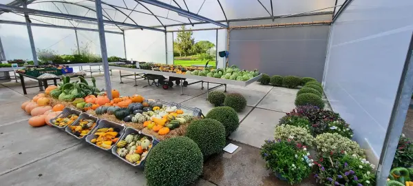 Afbeelding Boerderijwinkel 't Zwaantje