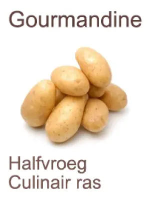Productfoto Gourmandine aardappelen