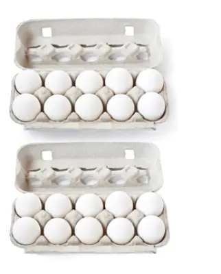 Productfoto Vrije uitloopeieren 20 stuks