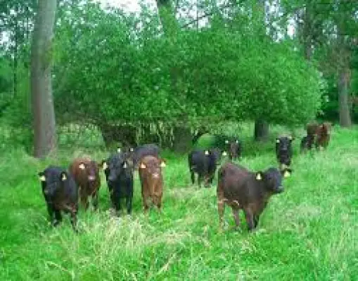 Afbeelding Bos & Akker