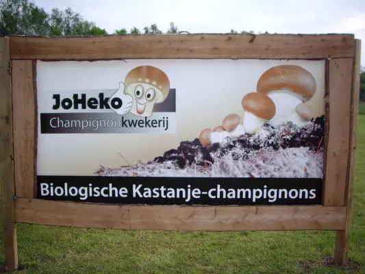 Afbeelding Champignonkwekerij Joheko