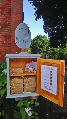 Afbeelding Chicky Chick