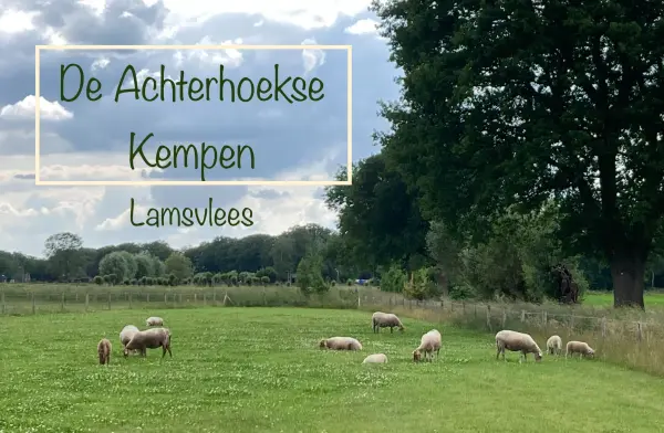 Afbeelding De Achterhoekse Kempen