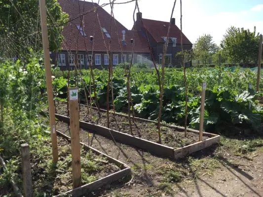 Afbeelding Pluktuin De Buitenplaats