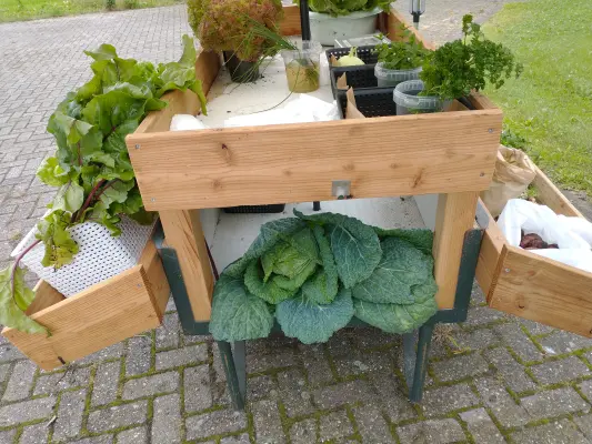 Afbeelding De Bunderboel