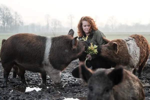 Afbeelding De Goed Gevulde Boerderij