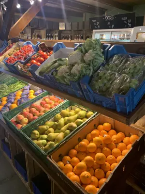 Productfoto Uien, knoflook, pompoen, gember, handperen, appels, sinaasappels, mandarijntjes, stoofperen, spruitjes, rode kool, sperziebonen, witte kool, witlof, prei, Chinese kool, tomaten , komkommers, Paprika’s, courgettes, kiwi’s, citroenen, druiven en bloemkool.