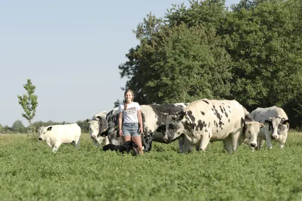 Afbeelding De Ommelanden Natuurlijk Lekker Vlees