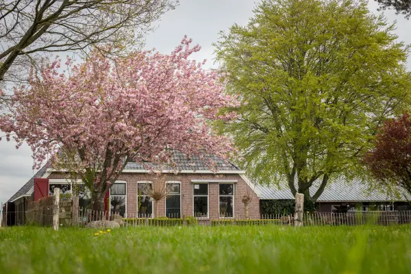 Afbeelding De Oolde Hof