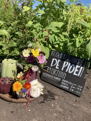 Afbeelding De Pioen