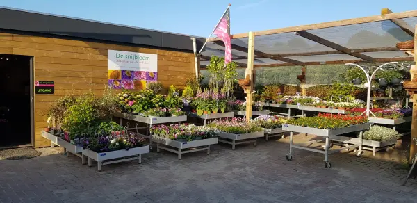 Afbeelding De Snijbloem