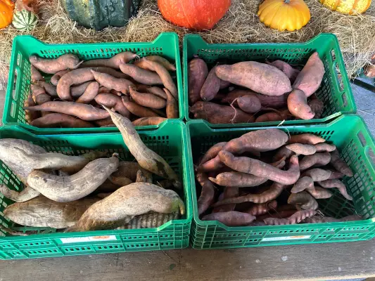 Afbeelding De Twentse Zoete Aardappel